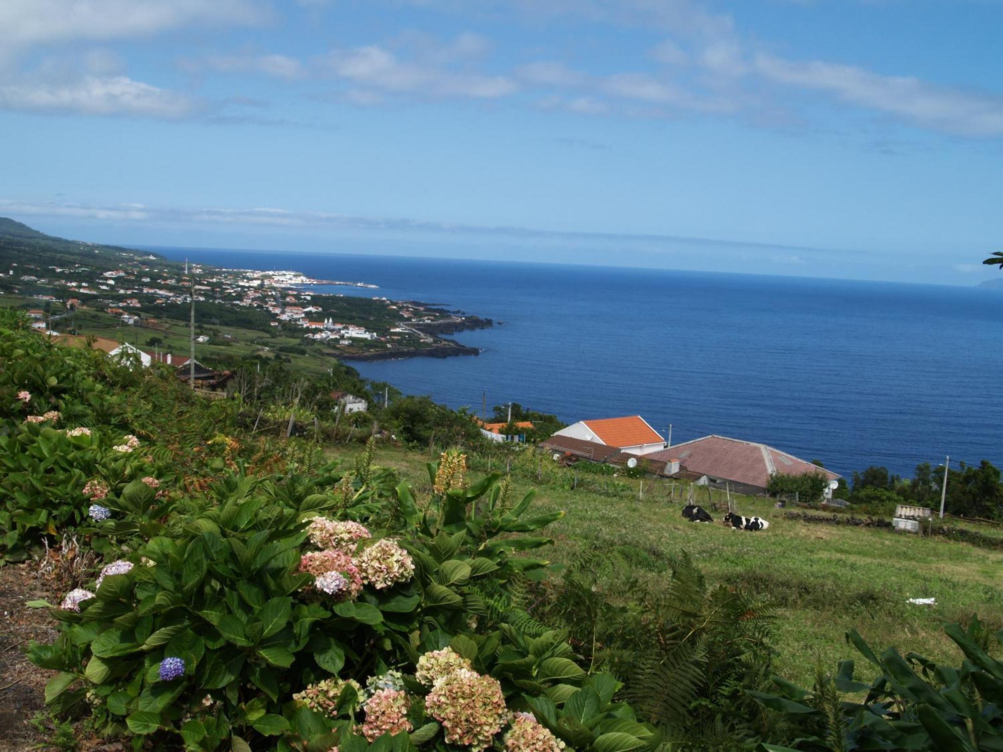 Casa Do Comendador Bed and Breakfast São Roque do Pico Exteriör bild